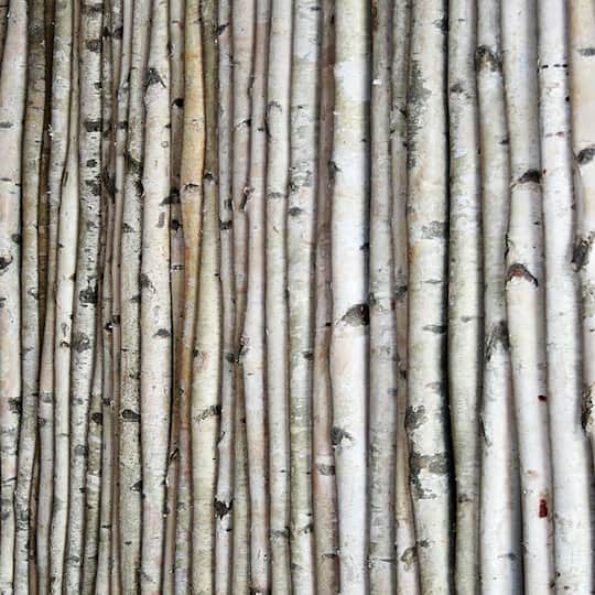 Wilson® Enterprises White Birch Poles